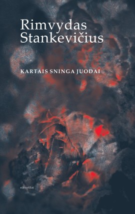 kartais-sninga-juodai_virs2_1737382919-cd883555e5164fd885c28e3b36173690.jpg