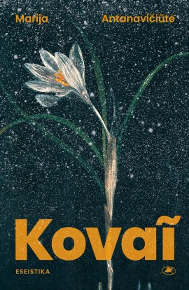 kovai_virselis_i-reklaminis_1787656810-5de504b81bf482871b9e7207ad0d20a1.jpg