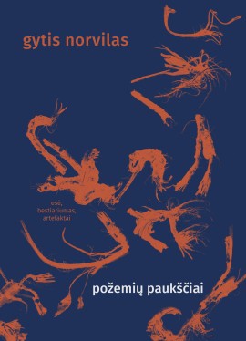 norvilas_pozemiu-pauksciai_virs_reklamai_1717567786-b319d4907c0f5649de3949abbaacfe6a.jpg