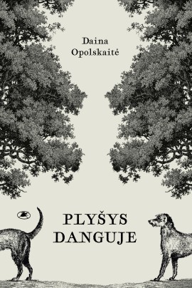plysys-danguje_virselis_reklaminis_1745925446-da12653fa56b00b79fa8819adf9acb6f.jpg