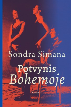 potvynis-bohemoje-virselis-rekl_1756122747-670948e0de81088624ef72b26384fbd7.jpg