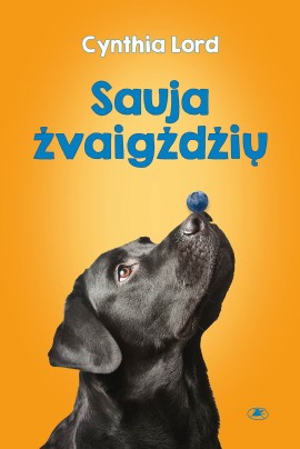 sauja-zvaigzdziu_vr_min_1682664701-92f80e4cde420e15d6e577ba84b72841.jpg