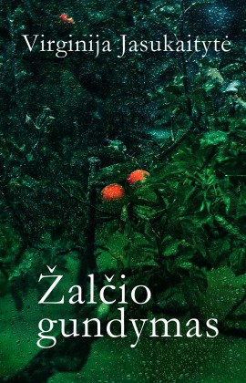 zalcio-gundymas-virselis_reklamai_1738922640-2539a92aae1a3dfafa623f7c6c1f38bf.jpg